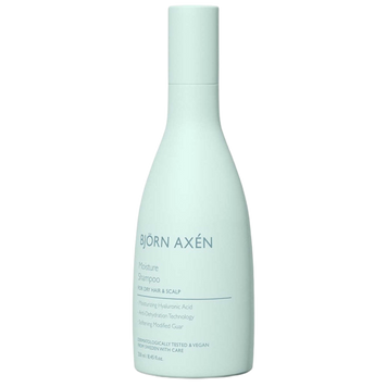 Зволожуючий шампунь для волосся Bjorn Axen Moisture Shampoo 250 мл 49961 фото